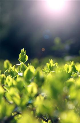 瑞馬燃氣壁掛爐，滿足您的溫暖22