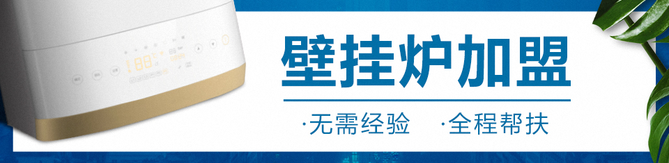 壁掛爐經(jīng)銷商 壁掛爐經(jīng)銷商